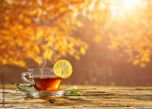 Autumn still life with tea cup on wooden planks