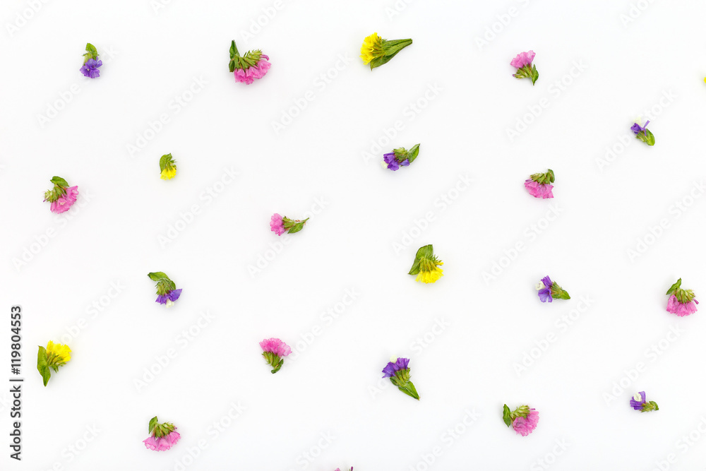 Composition flowers on white background. Top view, flat lay pattern Composition flowers on white background. Top view, flat lay pattern