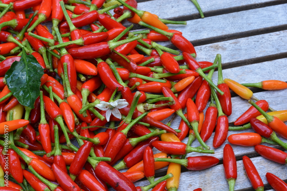 Small chili on a wooden table Small chili on a wooden table