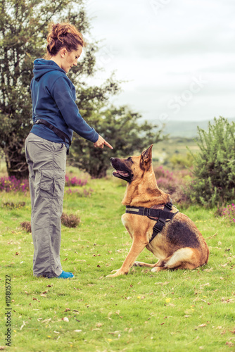 trainer teach security dog obedience
