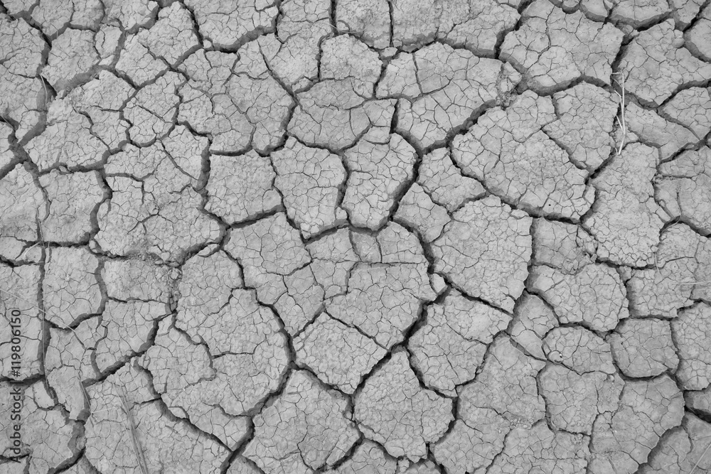 Crack soil on dry season, Global worming effect. Crack soil on dry season, Global worming effect.