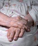  Old womans wrinkled  hands