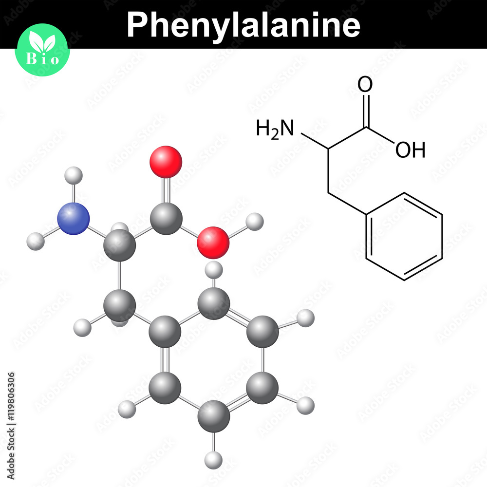 Phenylalanine essential amino acid Phenylalanine essential amino acid