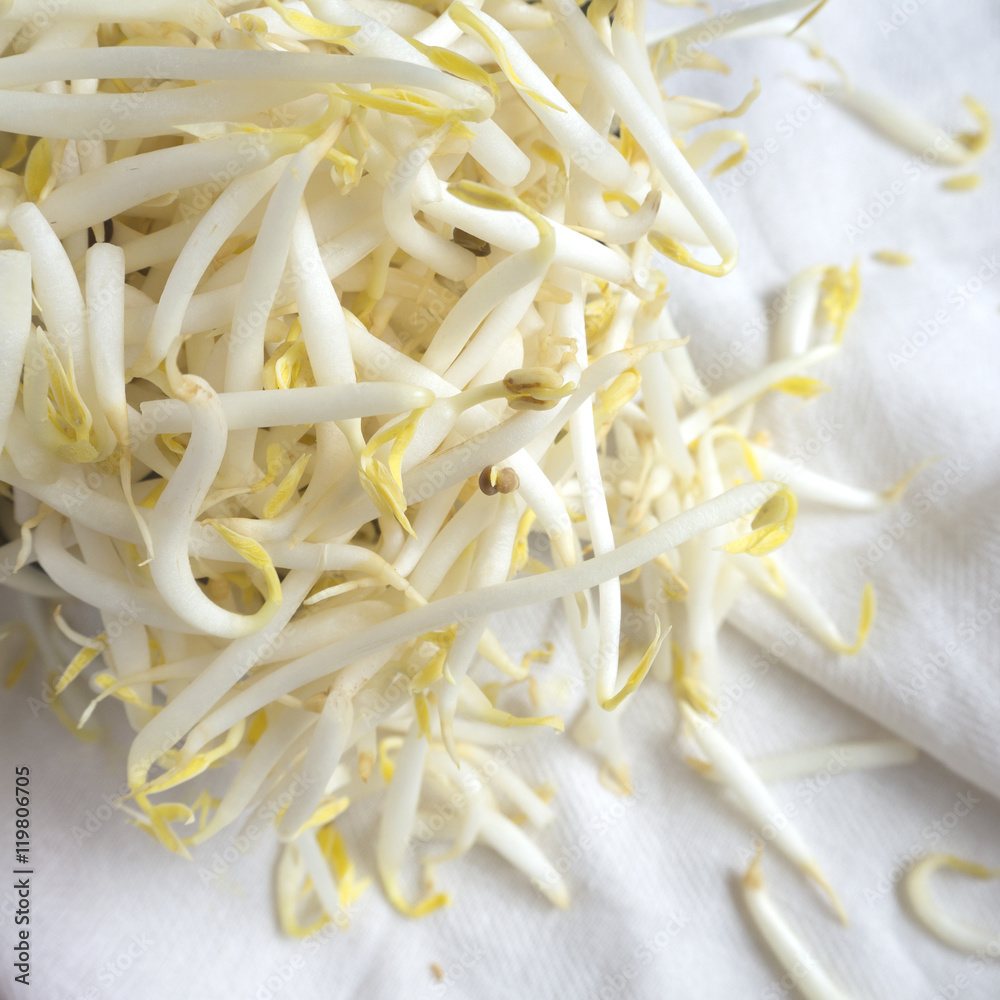 Bean sprouts Bean sprouts