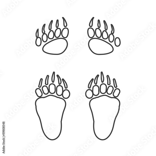 line bear steps
