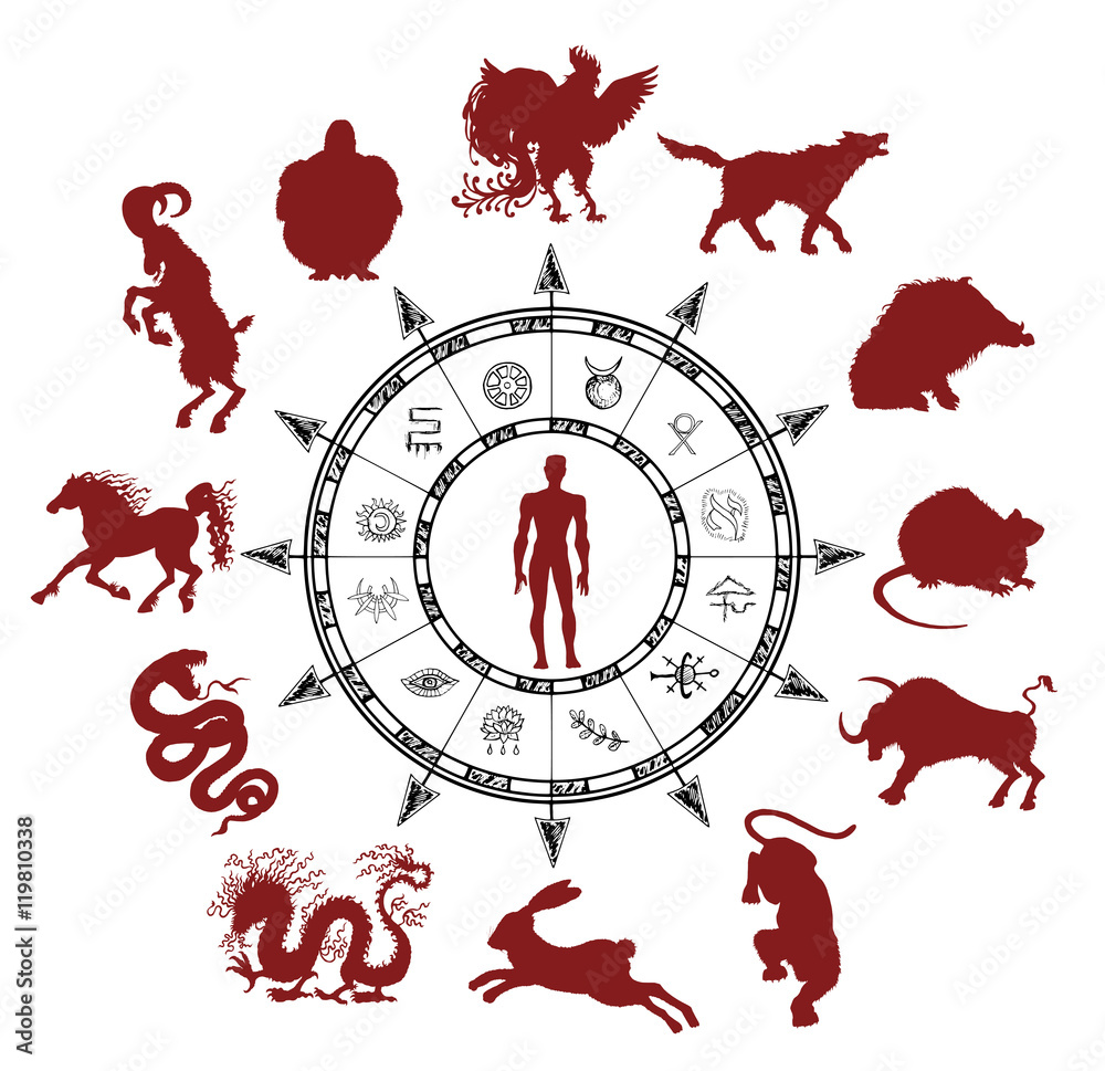 Astrology chart with silhouettes of chinese zodiac animals and mystic  symbols Stock Vector | Adobe Stock