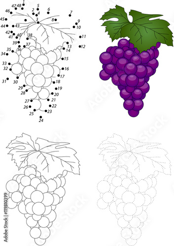 Cartoon grapes. Dot to dot game for kids