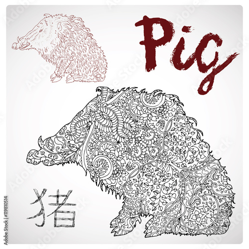 Zodiac illustration of pig or boar with zen pattern and lettering