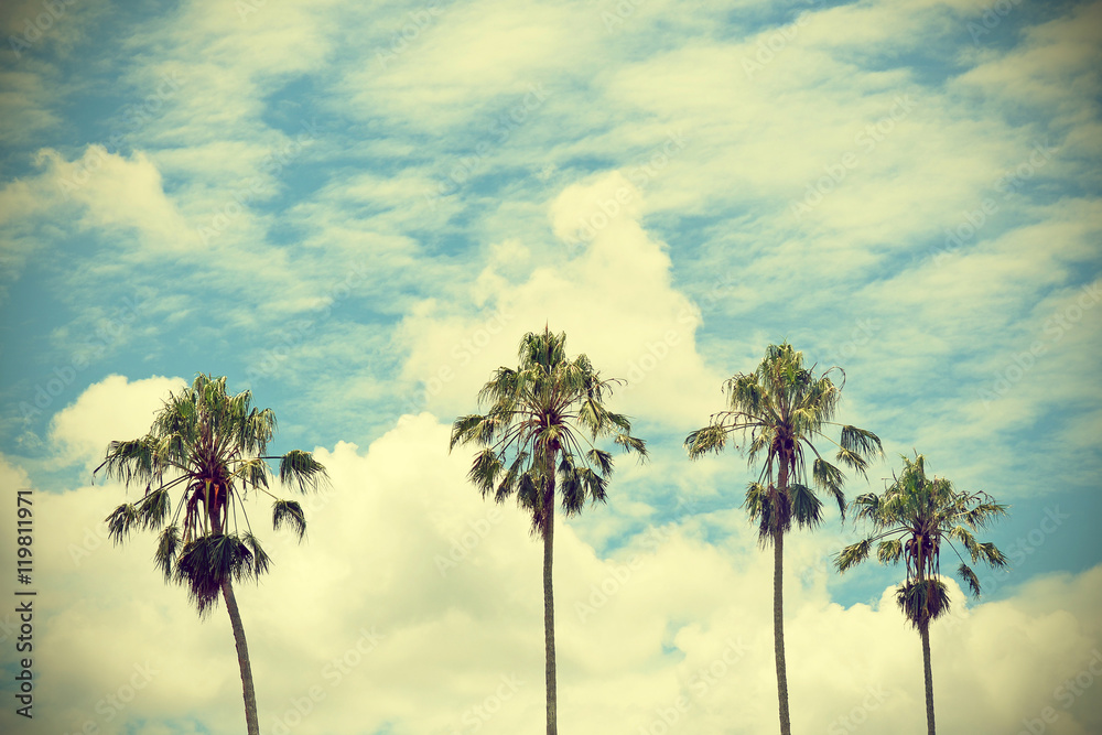 Fototapeta premium Four tall Palm trees with blue cloud filled sky background. Vintage, retro effect