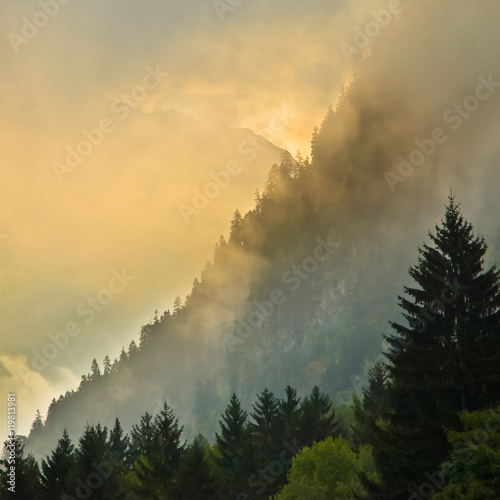 Sunrise over Mountain ridge with pines