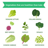 vegetables are healthier than kale, info graphic food, vector
