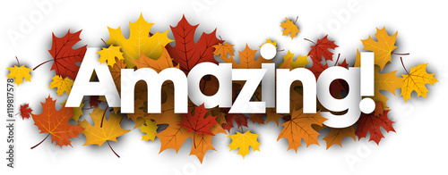 Amazing banner with maple leaves.