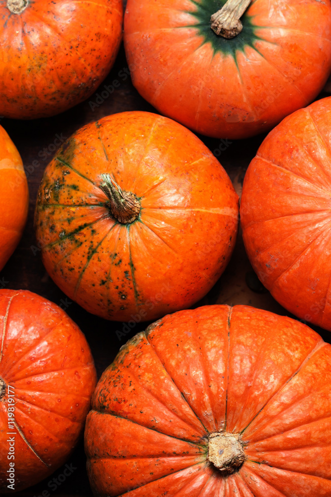 Autumn wood background with pumpkins over wooden table with copy Autumn wood background with pumpkins over wooden table with copy