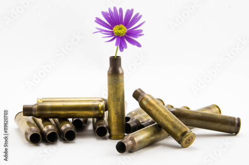 War and Peace, peace-full bullets, peace full bullets, bullets with flower, gun bullets shell photo