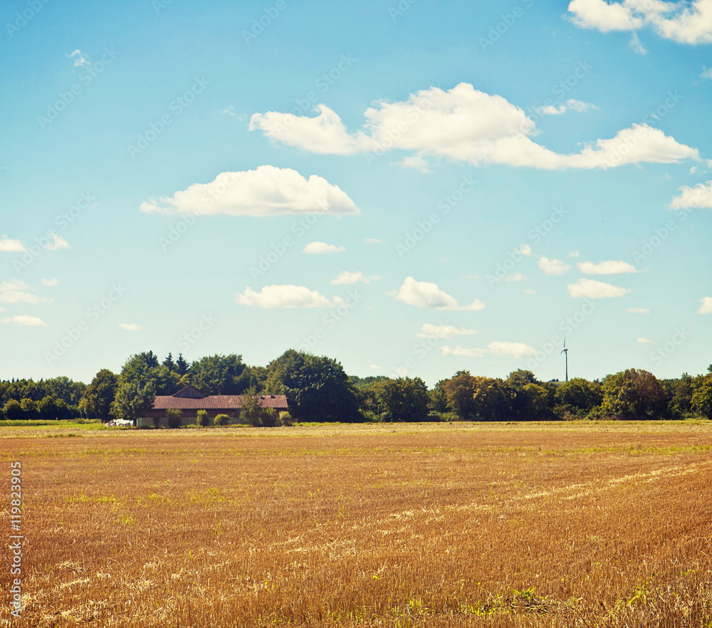 Fototapeta premium Bavarian summer landscape of the countryside