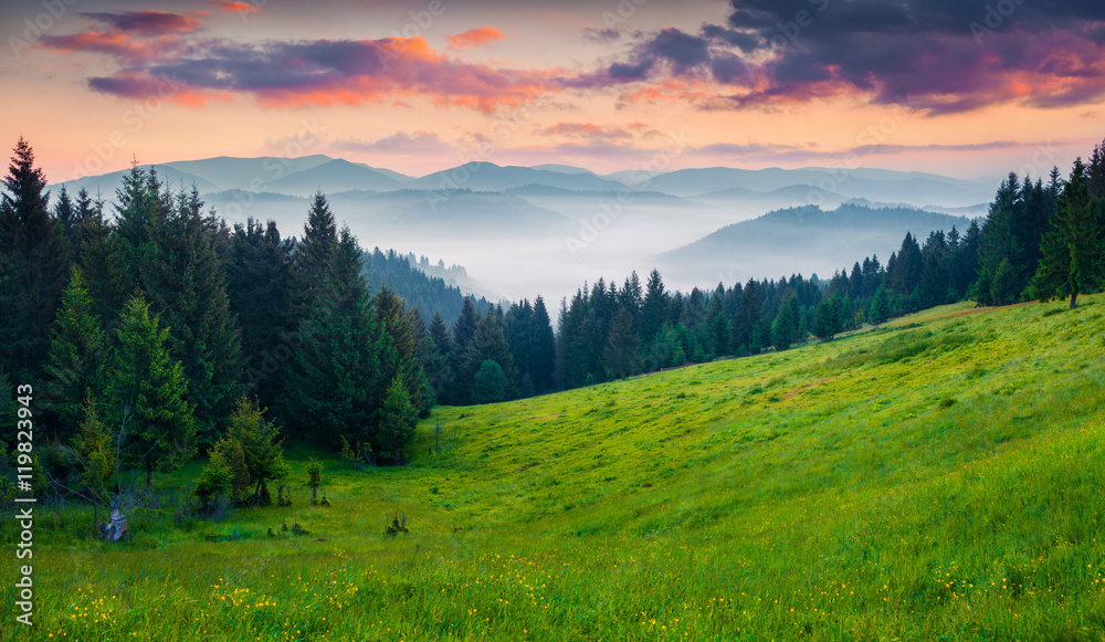 Colorful morning scene in the Carpathians