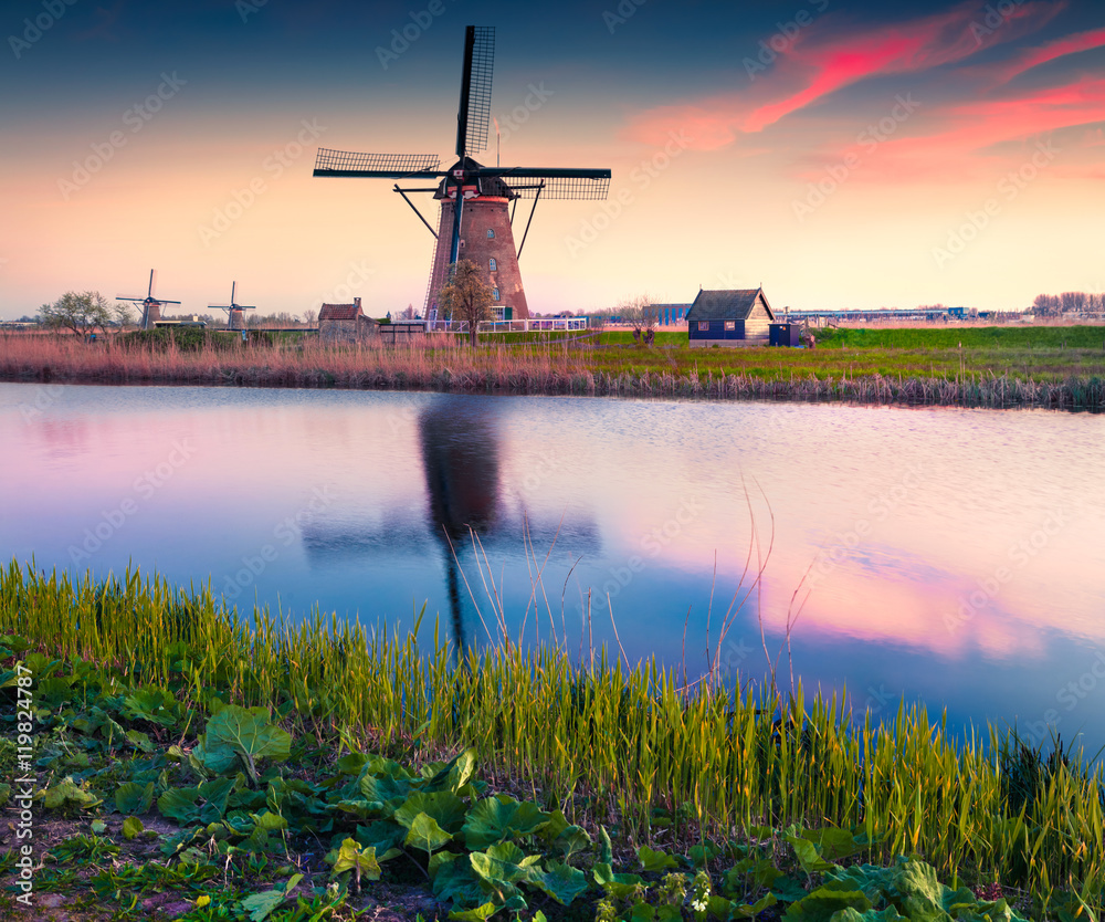 Colorful spring scene in the famoust Kinderdijk canals