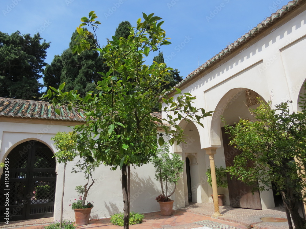 Obraz premium Espagne - Andalousie - Malaga - Alcazaba - Cour des orangers
