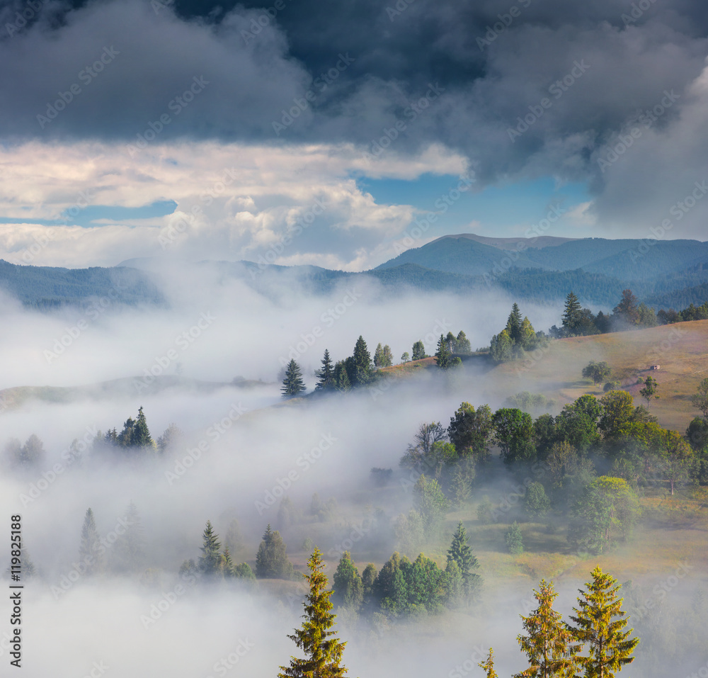 Foggy summer scene in the Carpathian mountains