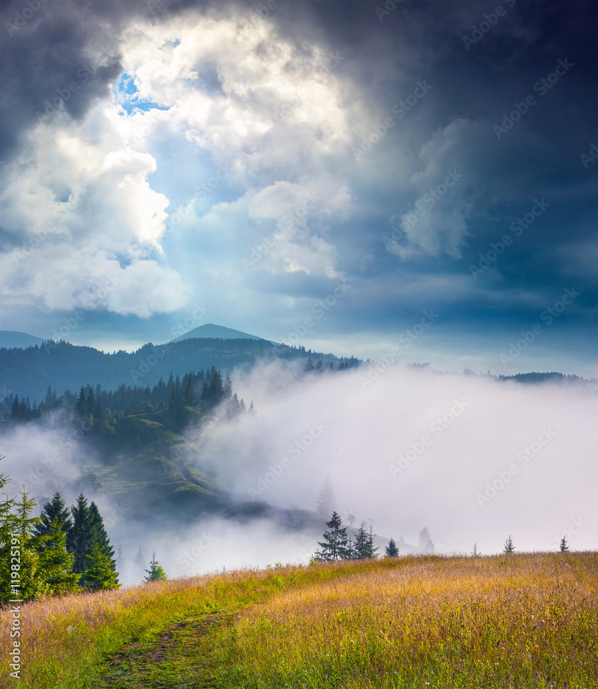 Dramatic summer scene in the foggy mountains Dramatic summer scene in the foggy mountains