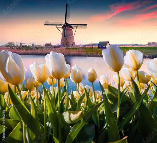 The famous Dutch windmills.