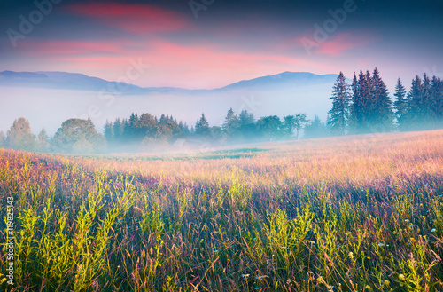 Canvas Print Colorful summer scene in the foggy mountain village.