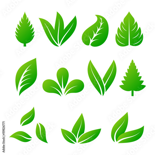 Leaf icon vector illustration.