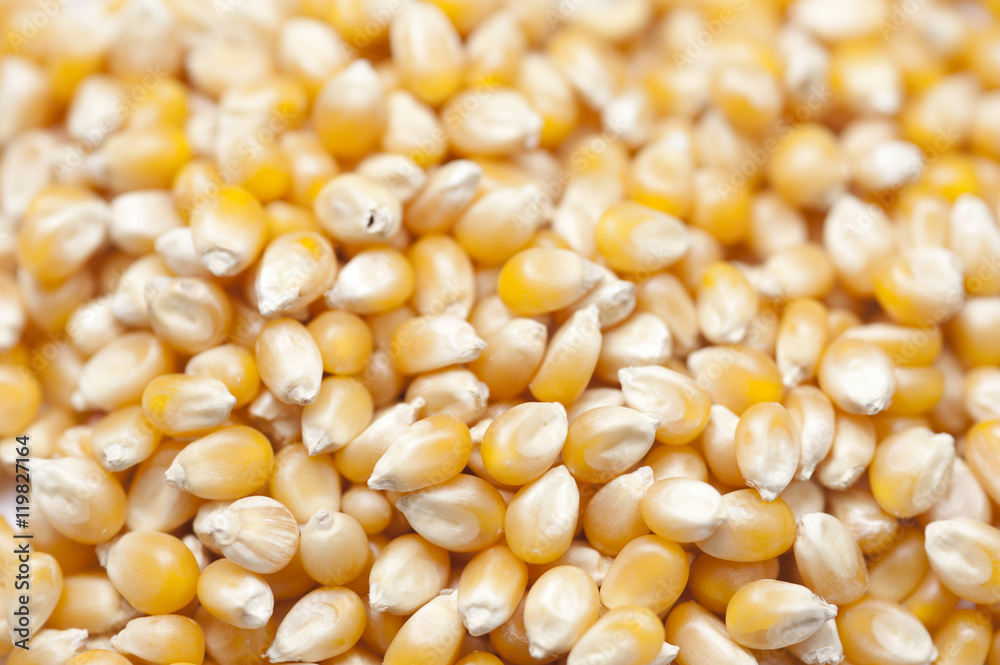 Popcorn Popcorn