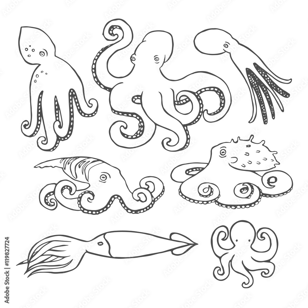 Hand drawn octopus set Hand drawn octopus set