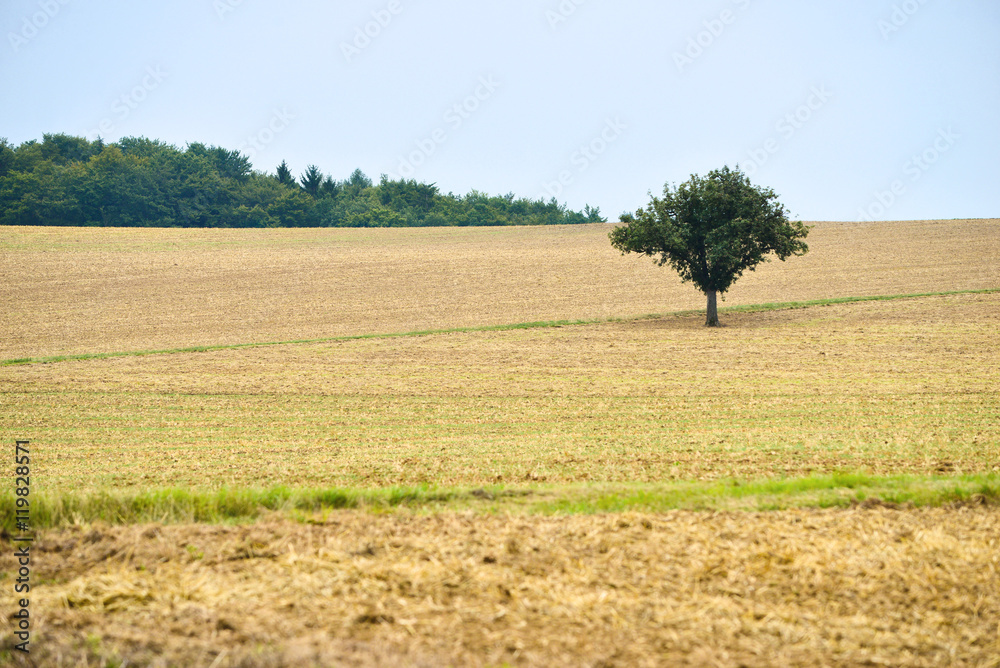 Obraz premium Asphalt road