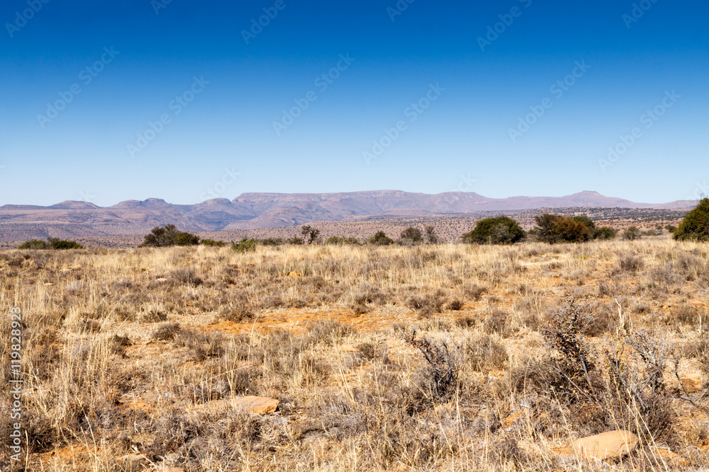 WOW The Beauty of  The Mountain Zebra National Park