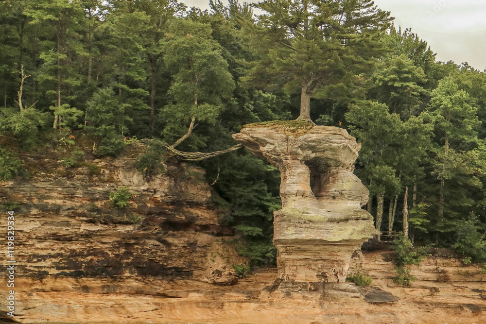 Tree on a rock in Pictured Rocks