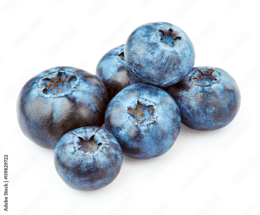 Fototapeta premium Blueberries isolated on white background