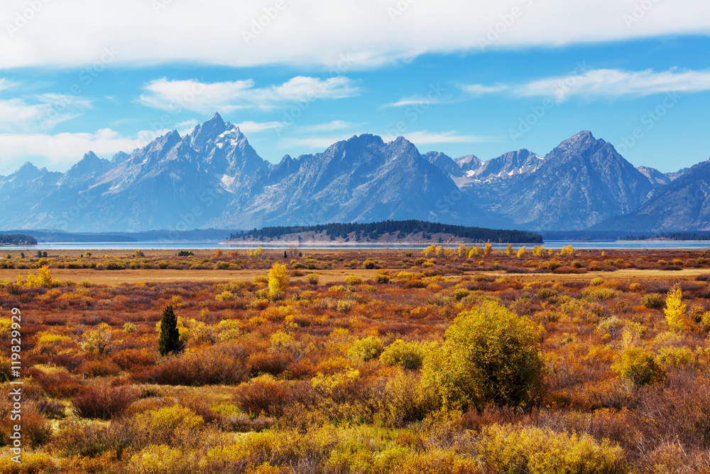 Autumn in Grand Teton