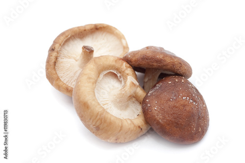 Fresh shiitake mushrooms