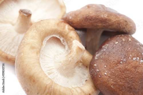 Fresh shitake mushrooms