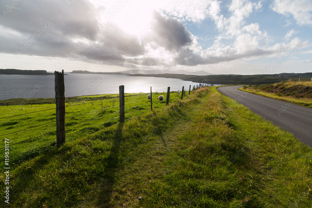 Straße, Schafe und Meer, Isle of Skye, Schottland 