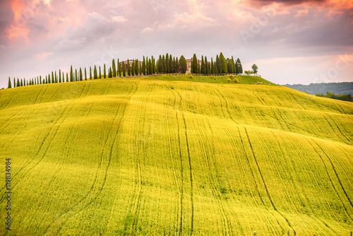 Beautiful tuscan landscape view in Val dOrcia region near Pienza town on the morning in Italy