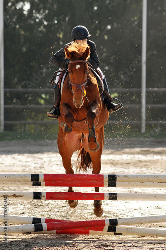 saut d'obstacle en équitation