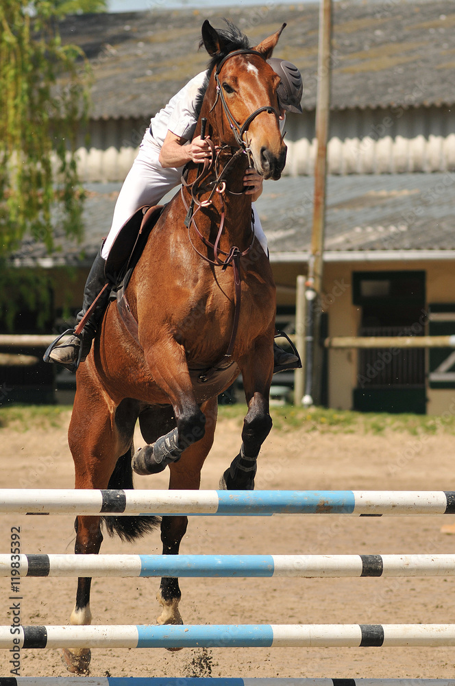 saut d'obstacle en équitation saut d'obstacle en équitation