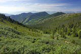Altai Mountains Natural Park - UNESCO Natural Monument, Siberia, Russian Federation