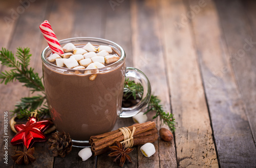Fotografie, Tablou Christmas hot chocolate with marshmallow