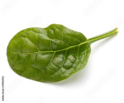 Baby spinach leaves isolated on white background cutout