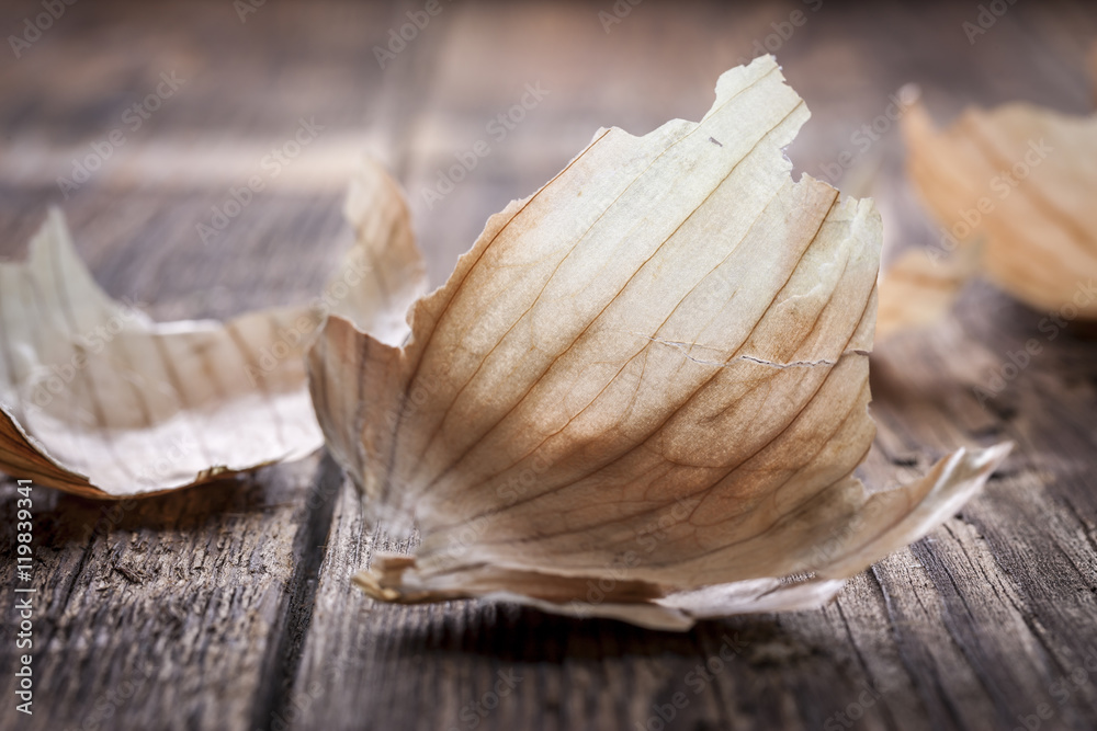 A close up of an onion peel on wood. A close up of an onion peel on wood.