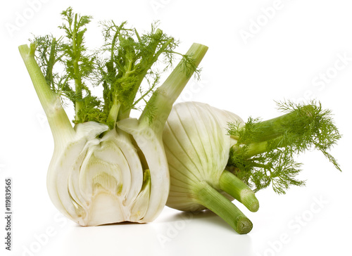 Fresh fennel bulb isolated on white background close up