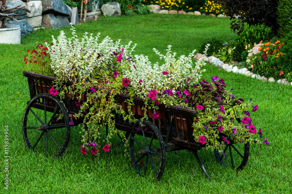 Vintage wooden cart with summer flowers