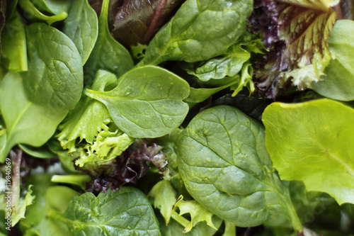 Fresh greens