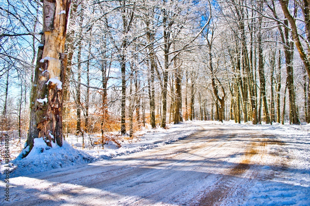 Winter road at the Swedish countryside Winter road at the Swedish countryside