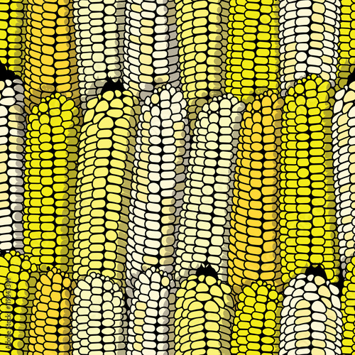 Corn seamless food vector background isolated cob plant.