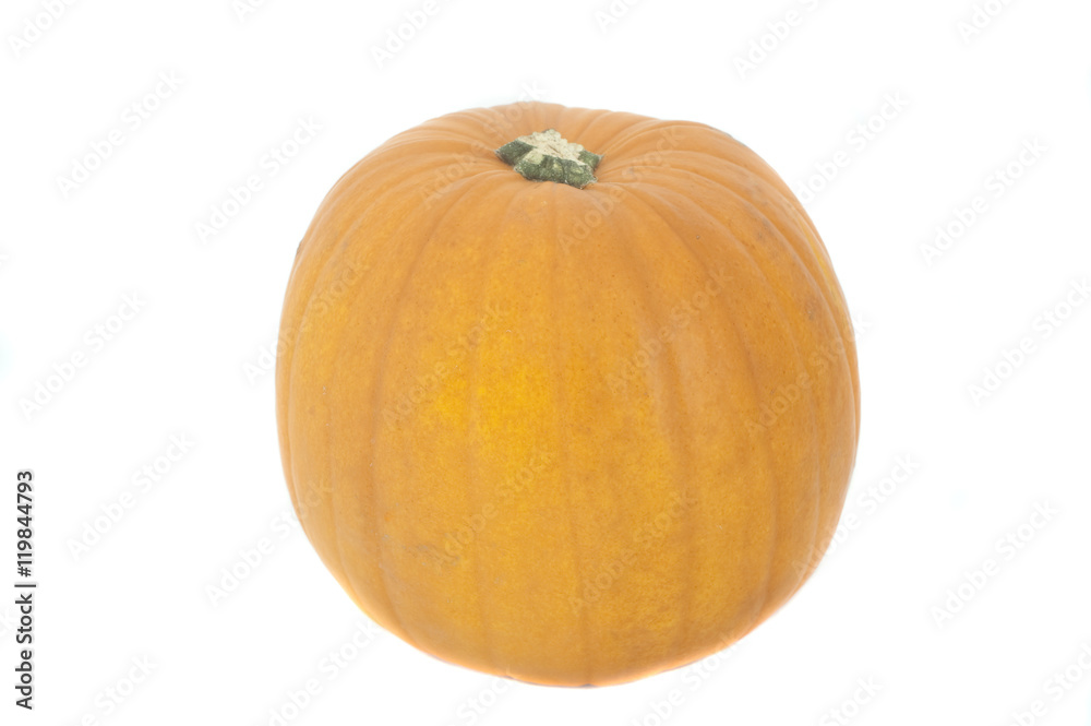 Whole fresh pumpkin on white Whole fresh pumpkin on white